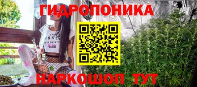прущие грибы Можга