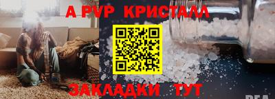 прущие грибы Можга