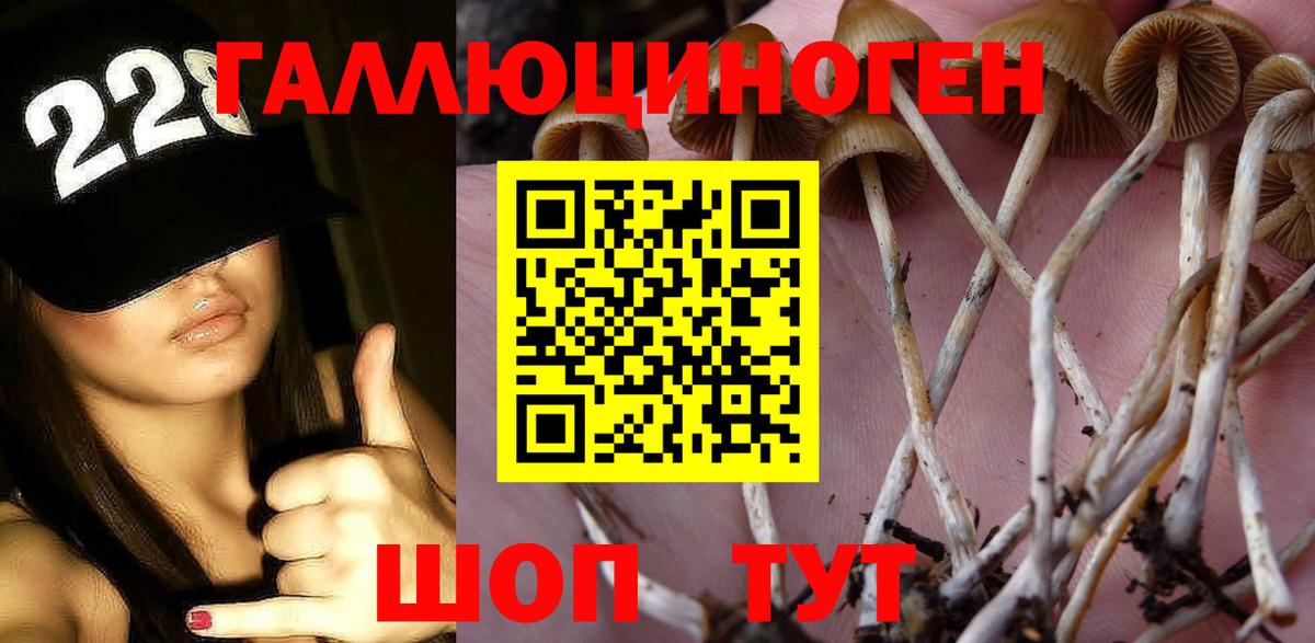 Галлюциногенные грибы Psilocybe  Вход с VPN  Советская Гавань  Псилоцибиновые грибы мухоморы 